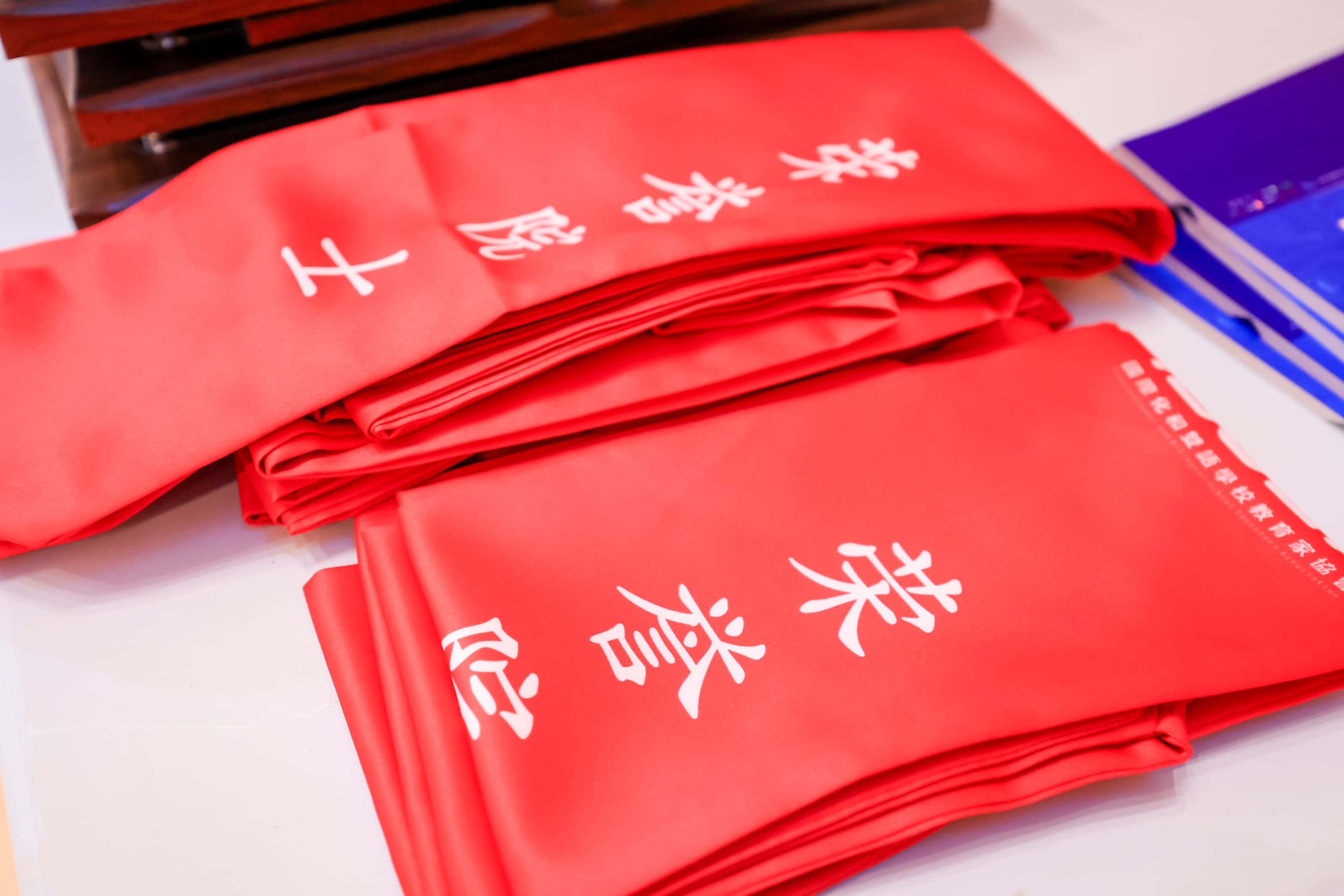 首屆國際化和雙語學校教育家大會 - 6