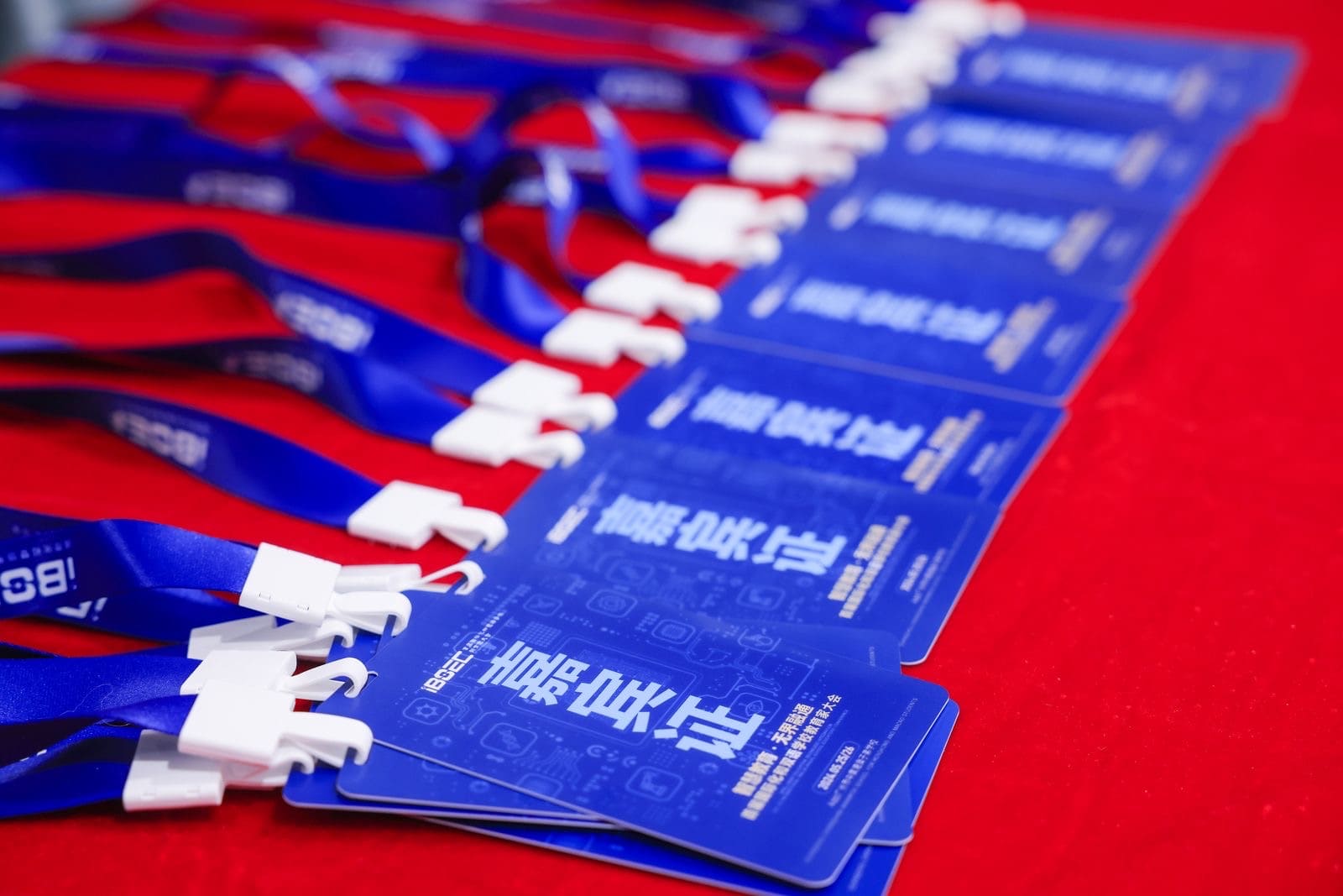 首屆國際化和雙語學校教育家大會 - 10