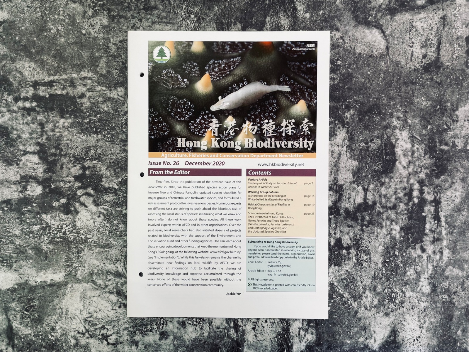 Design & Printing - 14