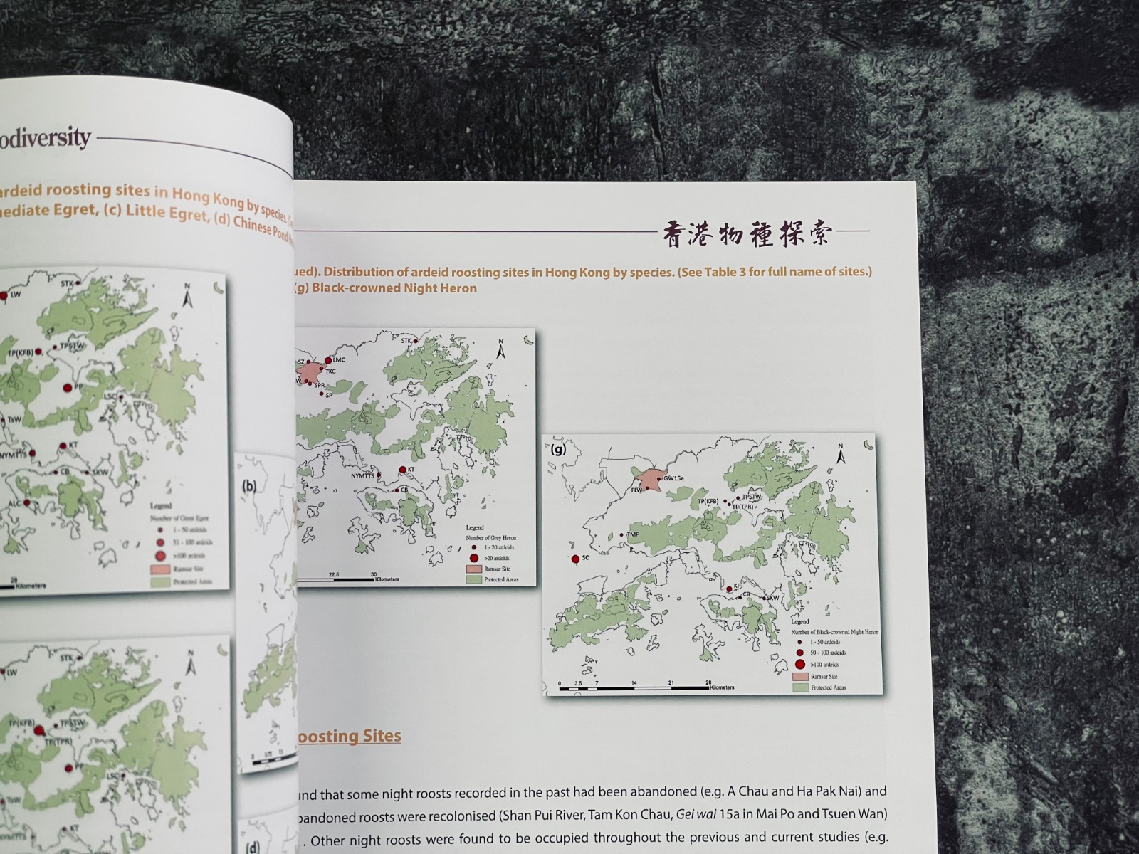 Design & Printing - 24