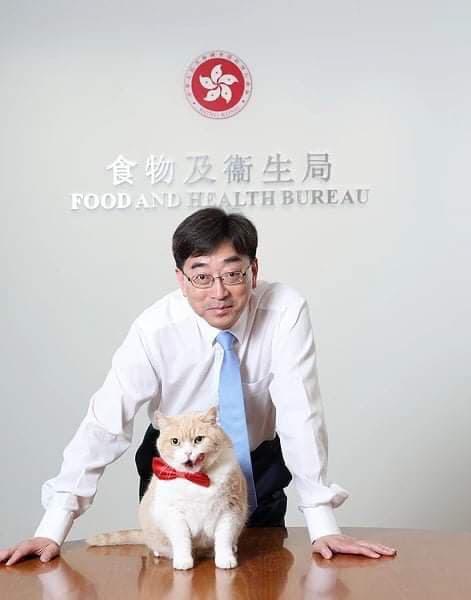 Photography Services – Portraits - 14